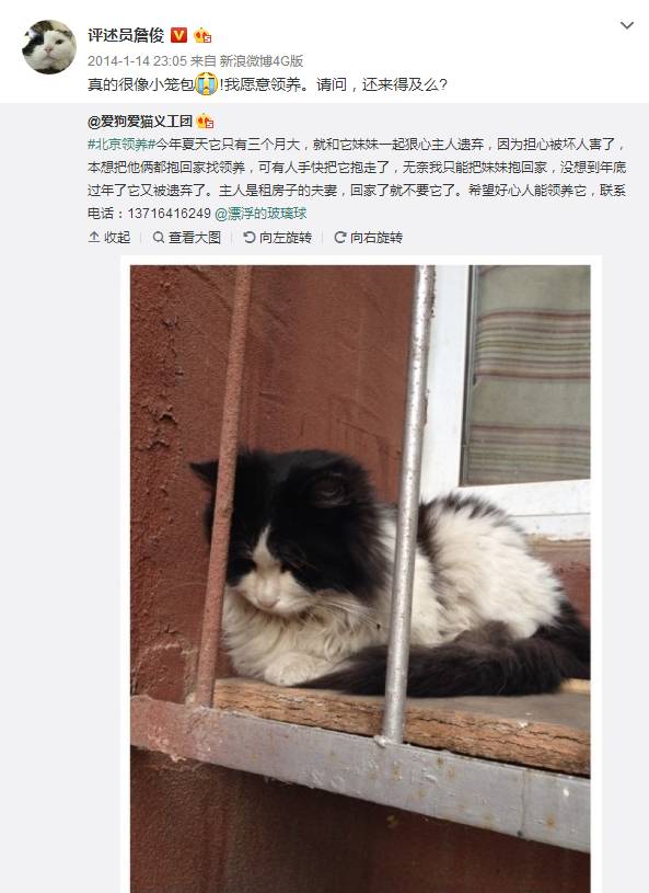 英超名嘴詹俊亮相KPL解说席引来玩家质疑攻击，我想为詹俊说两句