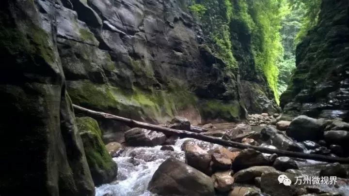 閲嶅簡涓囧窞鍗拌薄鍦ㄥ摢,涓囧窞澶╃敓鍗拌薄