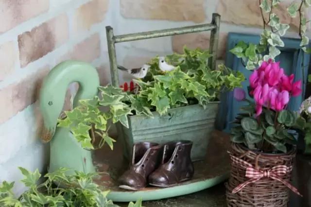 迷人的多肉阳台,韩国主妇阳台