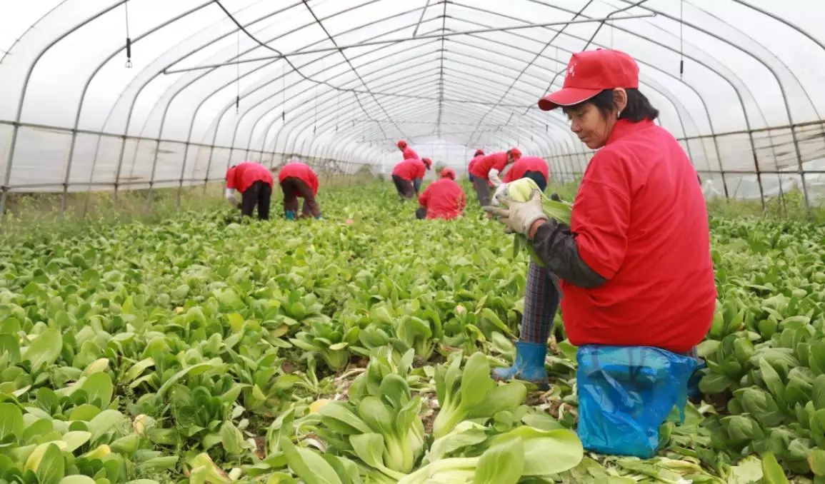 包子传奇：手工大包一年狂卖近10亿，他誓要成为早餐大王！