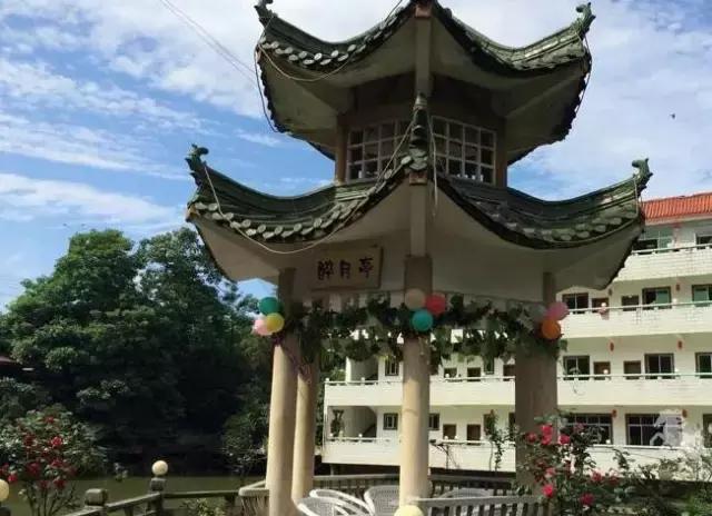 精选南岸嘿巴适农家乐，这个国庆有得耍，让你嗨到不想回家！