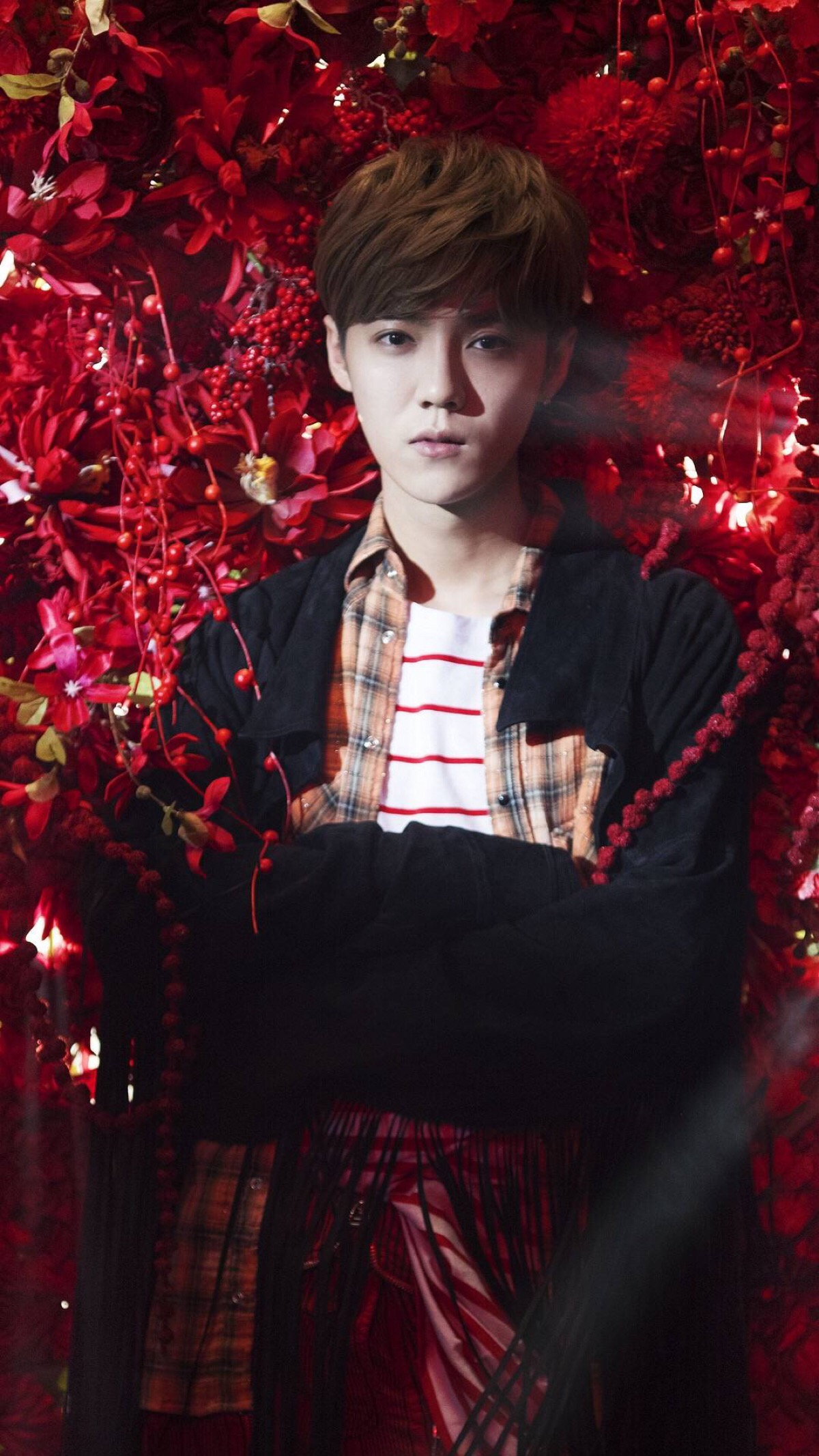 每日壁纸动漫男,鹿晗exo壁纸