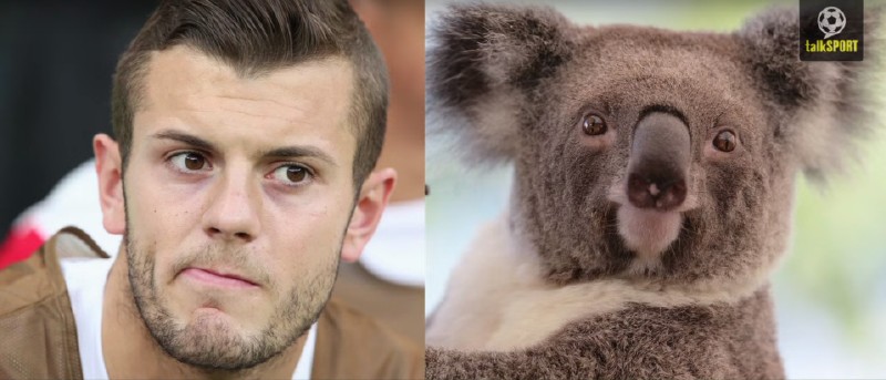 太像了！太像了！你喜欢的足球运动员像什么动物？