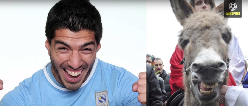 太像了！太像了！你喜欢的足球运动员像什么动物？