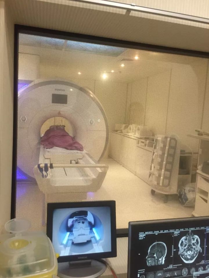 澳洲水晶番茄,新加坡水晶白番茄