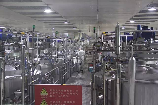 “牛奶男星”怎么喝出来，带你们看看蒙牛工厂内部就知道了！