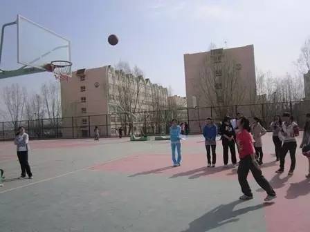 奔跑吧马场,奔跑吧皋兰视频