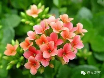 小手牵大手一同去郊游,小手拉着大手一起郊游