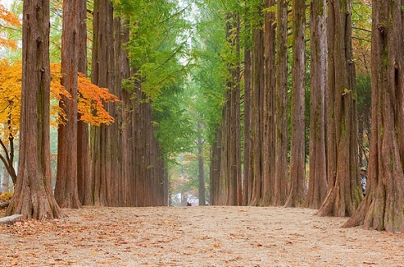 去韩国首尔自由行多少钱,畅游首尔14天