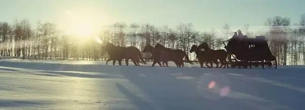 奥斯卡终于给自己的头号债主转账了——传奇配乐大师埃尼奥·莫里康内