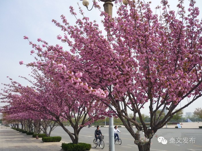 小手牵大手一同去郊游,小手拉着大手一起郊游