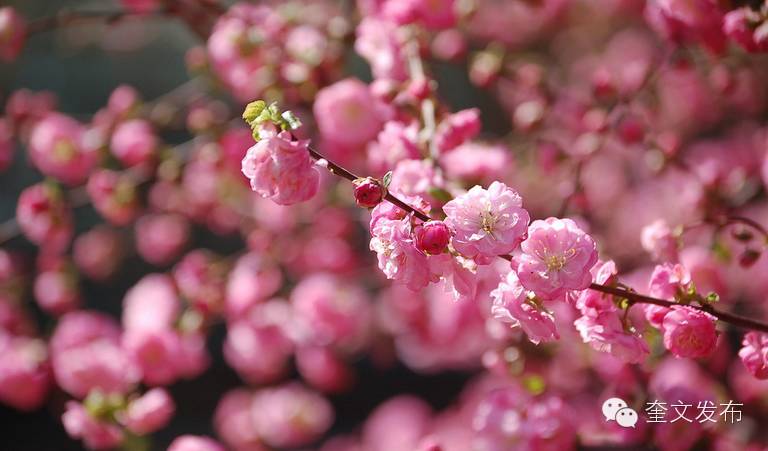小手牵大手一同去郊游,小手拉着大手一起郊游