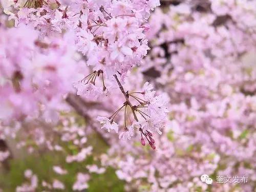 小手牵大手一同去郊游,小手拉着大手一起郊游