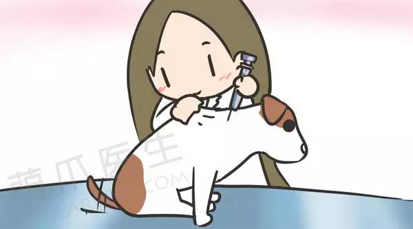 狗狗各类疫苗的区别,免疫接种疫苗种类