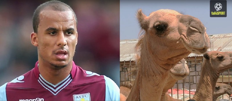 太像了！太像了！你喜欢的足球运动员像什么动物？