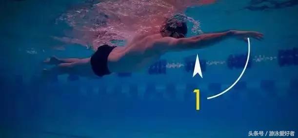 自由泳划水动作练习讲解,一看就会的自由泳划水的标准技巧