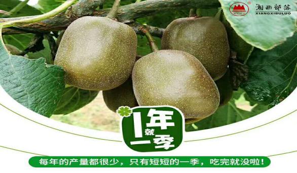 湘菜特色加盟连锁品牌,湘西土家族苗族湘菜名店加盟条件