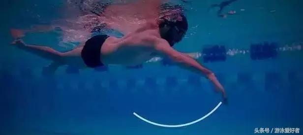 自由泳划水动作练习讲解,一看就会的自由泳划水的标准技巧