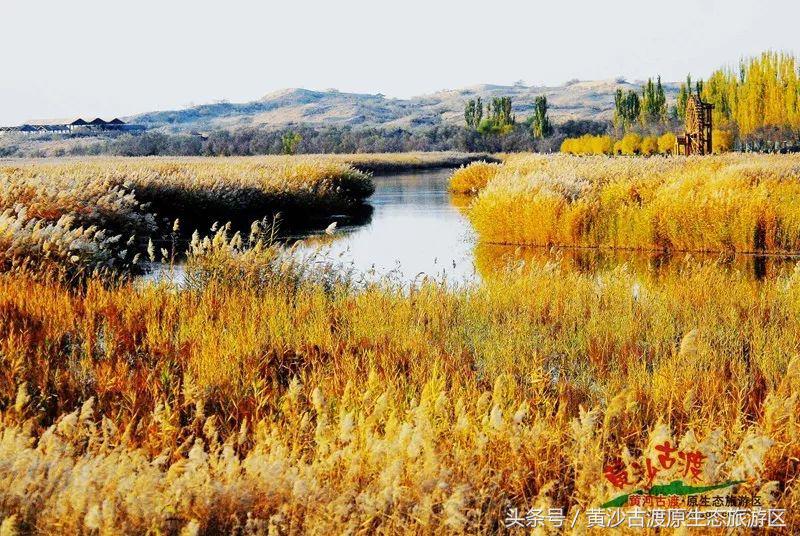 国庆假期去宁夏旅游需要准备什么,国庆宁夏三天两晚旅游攻略