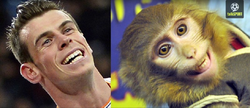 太像了！太像了！你喜欢的足球运动员像什么动物？