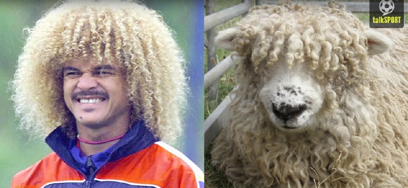 太像了！太像了！你喜欢的足球运动员像什么动物？