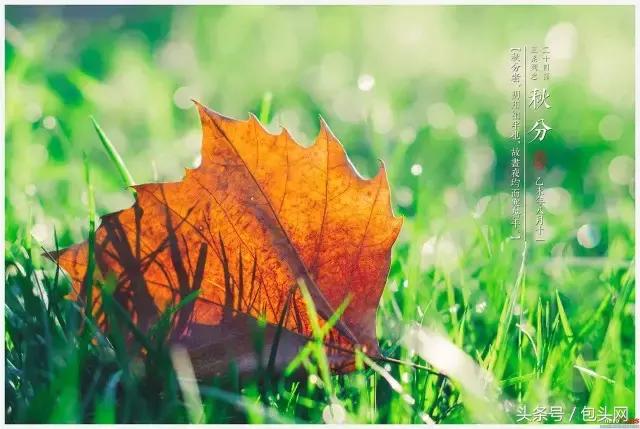 包头天气温差变化大吗,包头九月份气温是多少度