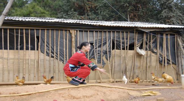 湘菜特色加盟连锁品牌,湘西土家族苗族湘菜名店加盟条件