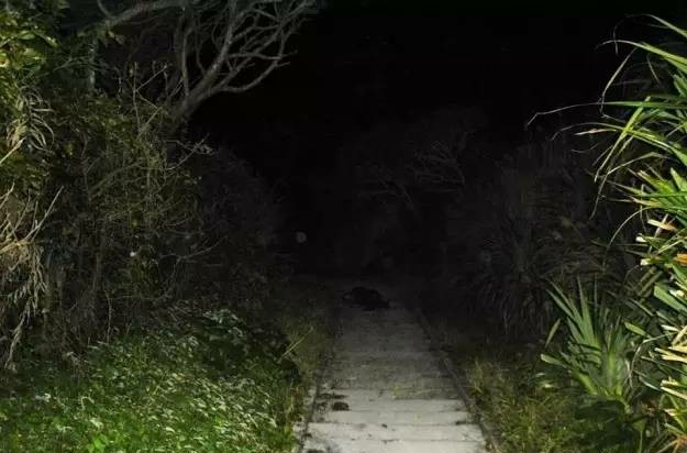 这10类恐惧症你知道多少,冷知识各种恐惧症你中了几条