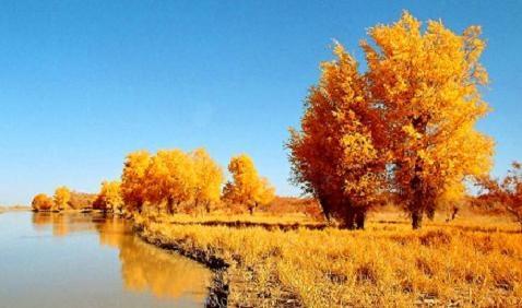 初一上册数学知识点大全视频,六年级上册数学知识点学霸笔记