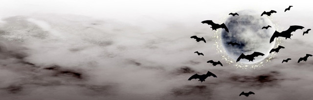 黑暗恐惧症的人应该关注什么,听说你有密集恐惧症