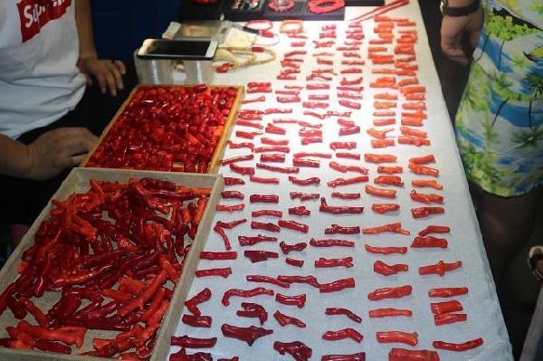 带孩子出发三亚一日游,海南三亚旅游攻略自由行最佳线路