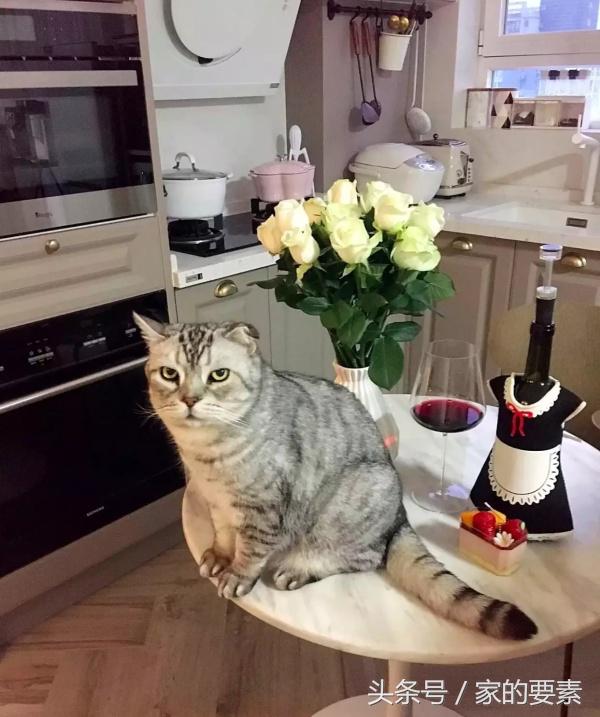 拒绝性冷淡，她把马卡龙色涂上了墙