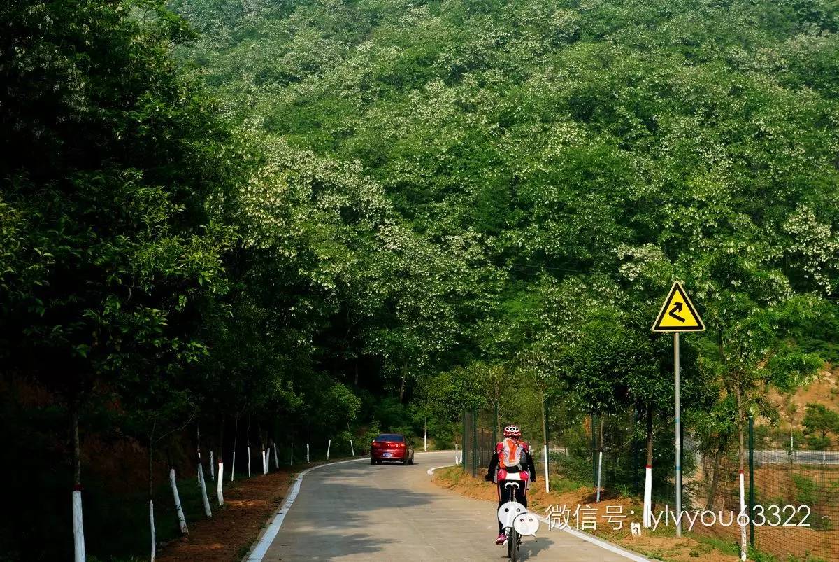 洛阳适合中学生好玩免费景点,洛阳各个景点的介绍