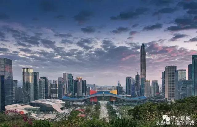 因为爱情，这几个人说出了留在或者离开聊城的原因！