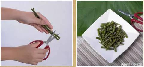 铁皮石斛鲜榨汁,铁皮石斛鲜榨汁有什么作用