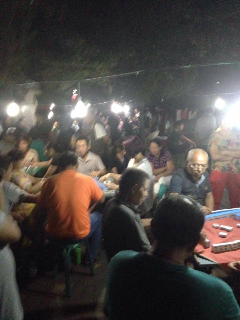 公园之夜推荐,绿荫公园夏季