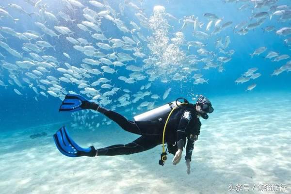 只知道人妖秀？芭提雅还有这些90%的人不知道的小清新玩法