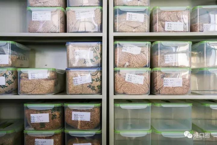 大连港的亮点,中国大连港