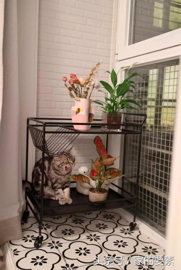 拒绝性冷淡，她把马卡龙色涂上了墙