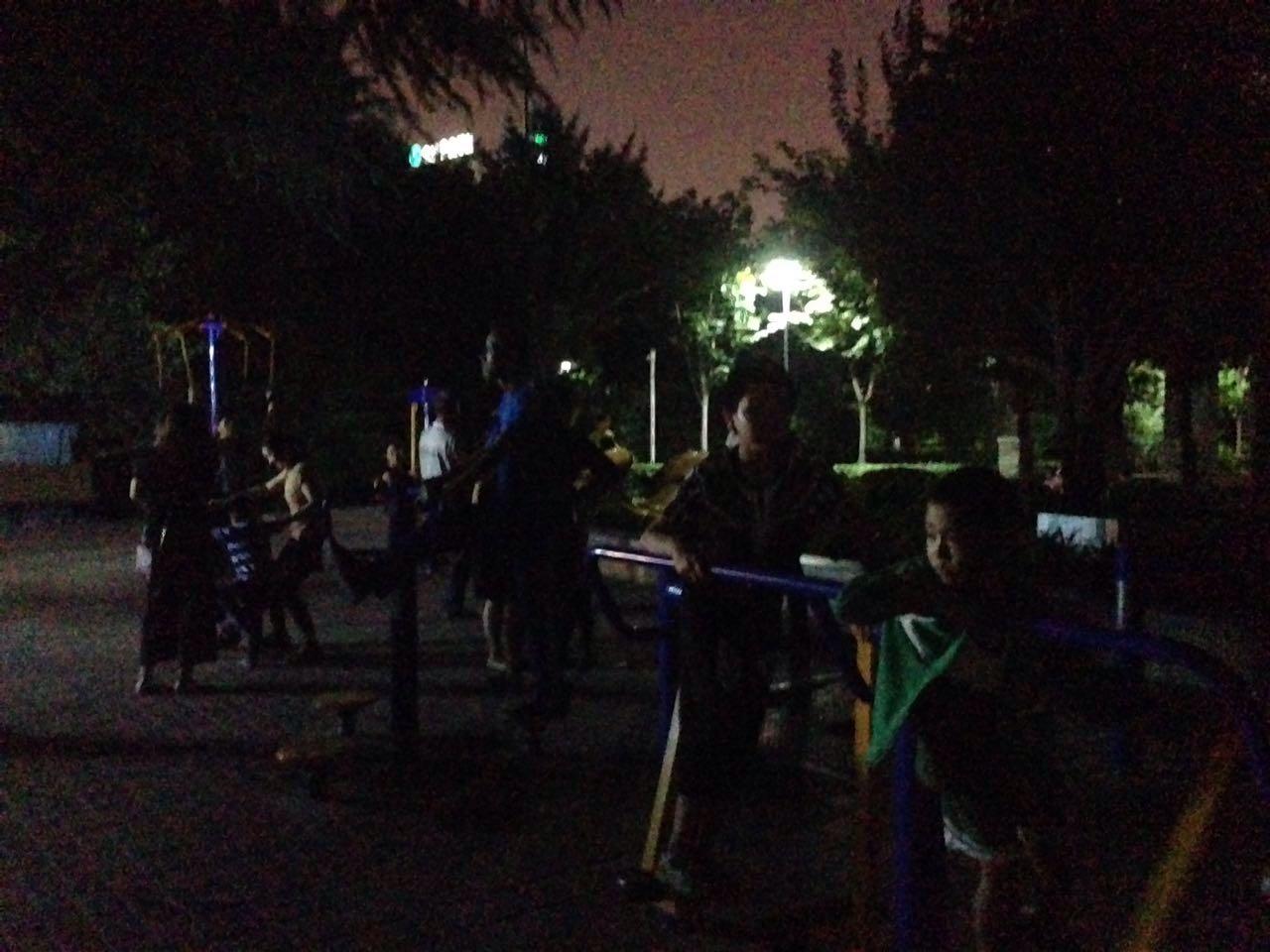 公园之夜推荐,绿荫公园夏季