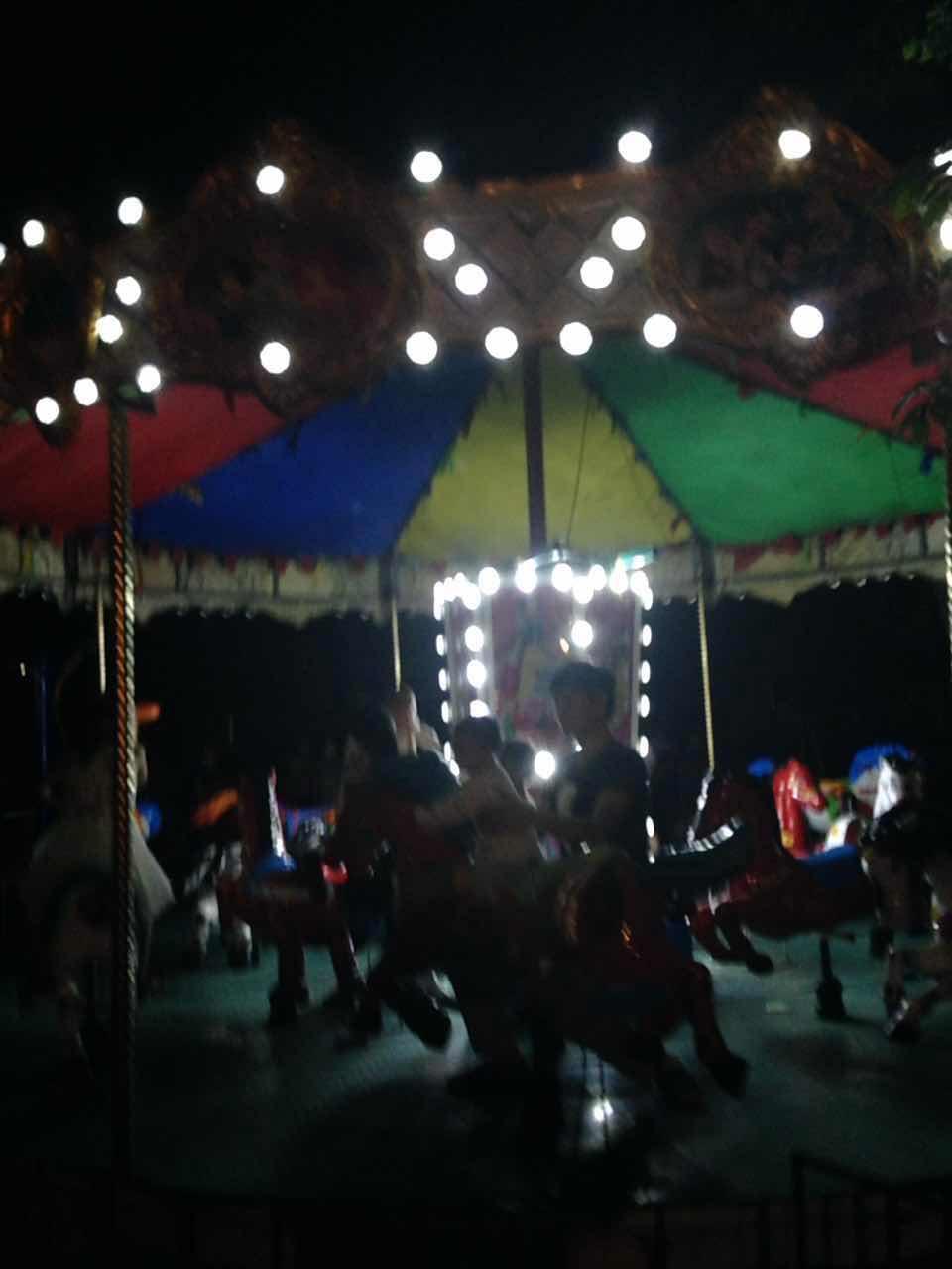 公园之夜推荐,绿荫公园夏季