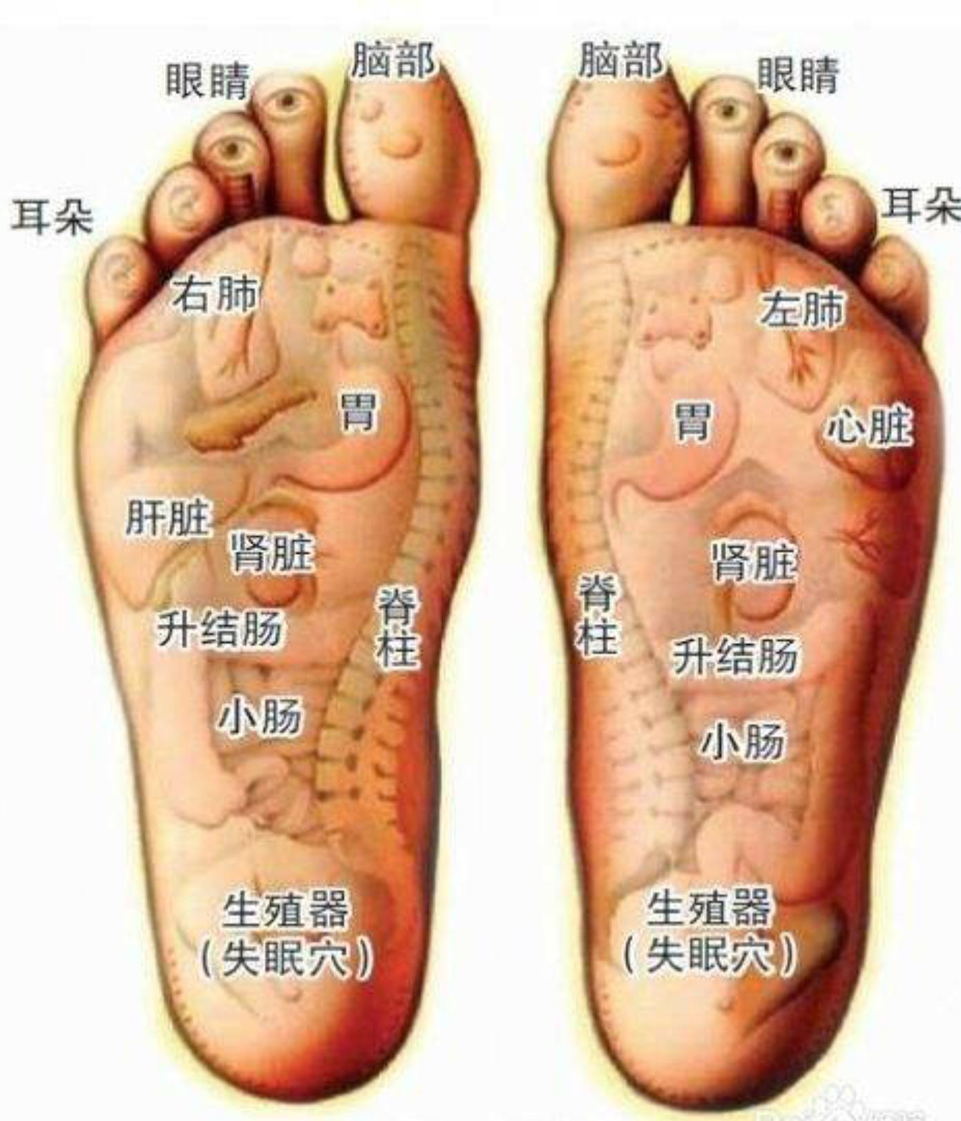 经常按摩脚底穴位会有什么好处,脚底有根筋经常按摩有什么好处
