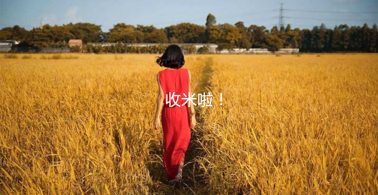 体育竞彩解析,关于体育的说说简短