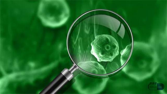 小康每日说：转移因子口服溶液是辅助治疗用药？能用于肿瘤吗？