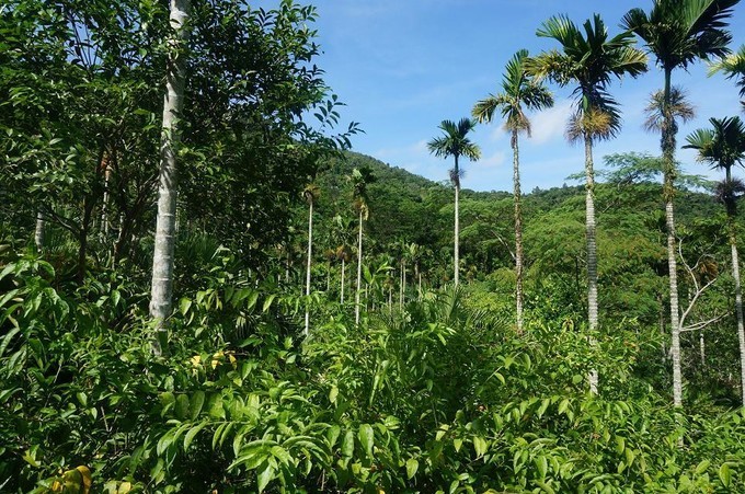 在三亚的沙滩上晒太阳,三亚海边晒太阳