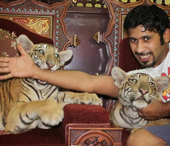 迪拜炫富黄金,迪拜炫富