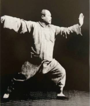 康戈武简介,康戈武太极拳