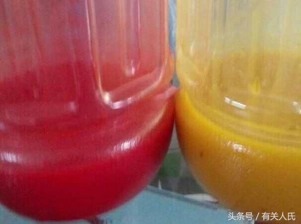 自制酒米野钓爆护,泡酒米钓鱼制作