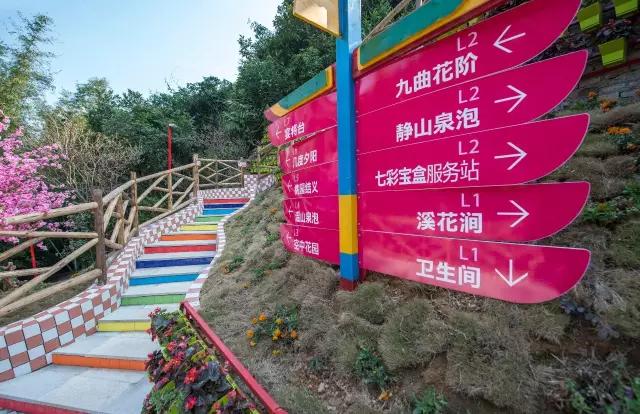 自由行天子山旅游攻略,天子地风景区拍照攻略