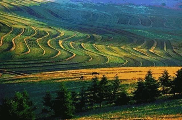 66号公路有什么特别之处,美国66号公路和中国哪条路类似